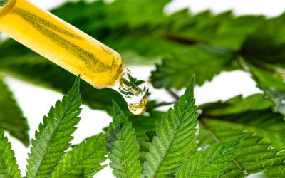 Cannabis Extract For Targeted Effects