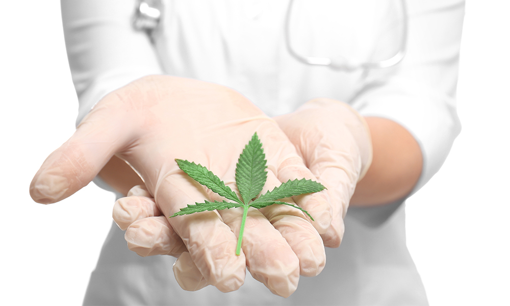 Cannabis For Chronic Pain Relief Without Addiction