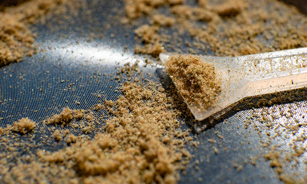Kief vs Hash What’s The Difference?