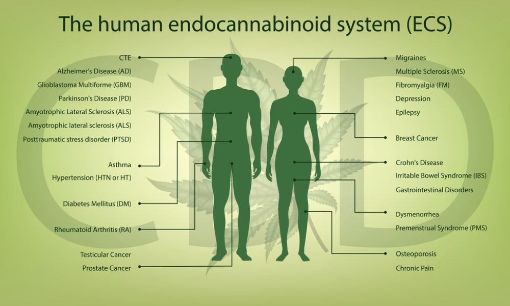 ECS chart