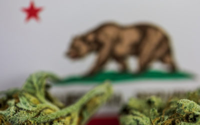 Buying Weed In California Goes Mainstream