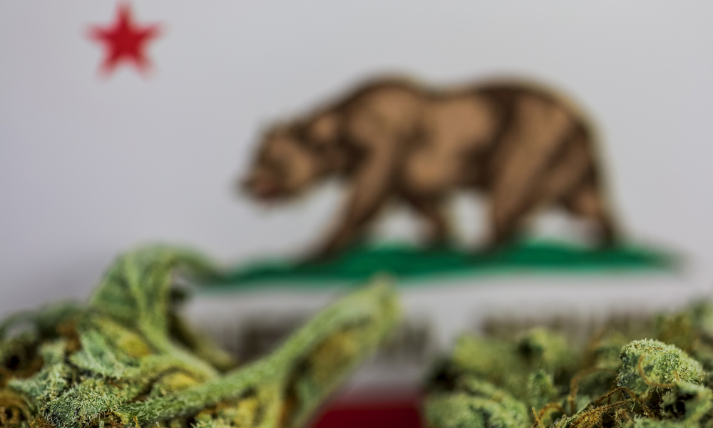 Buying Weed In California Goes Mainstream