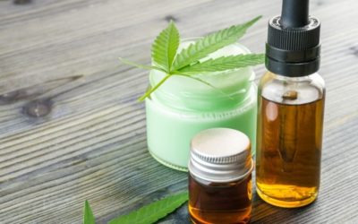 CBD Cannabinoid Facts You Should Know