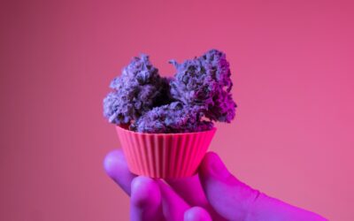 How Edibles Work